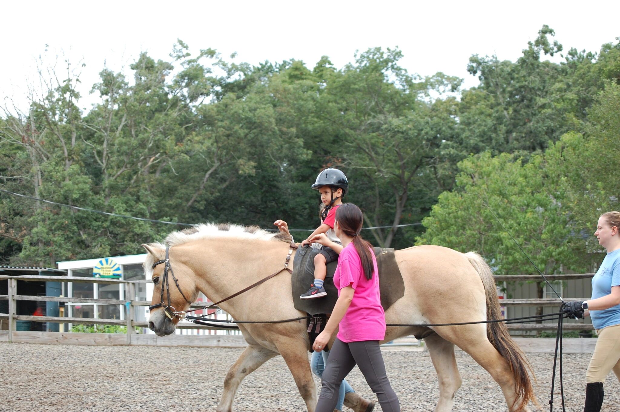 What is Hippotherapy?